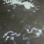 http://z6oqdxavh69n8g9a.lightizm.com/files/gimgs/th-76_71_Nostalgia1_v2.jpg